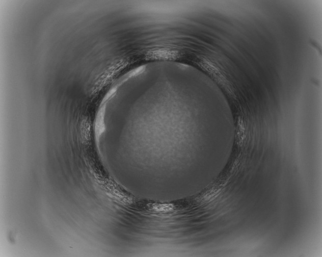 X0000100310355200806261207