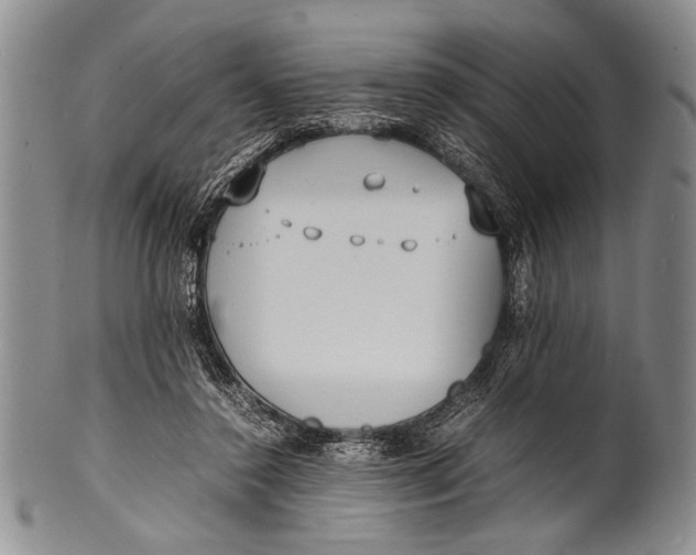 X0000100310356200806261207