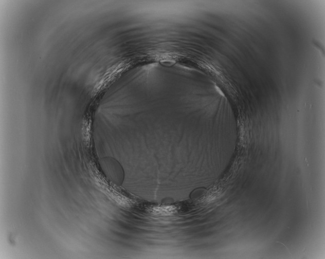 X0000100310357200806261207