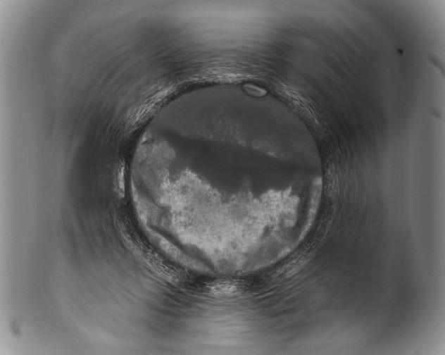 X0000100310358200806261208