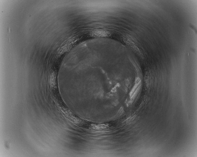 X0000100310359200806261208