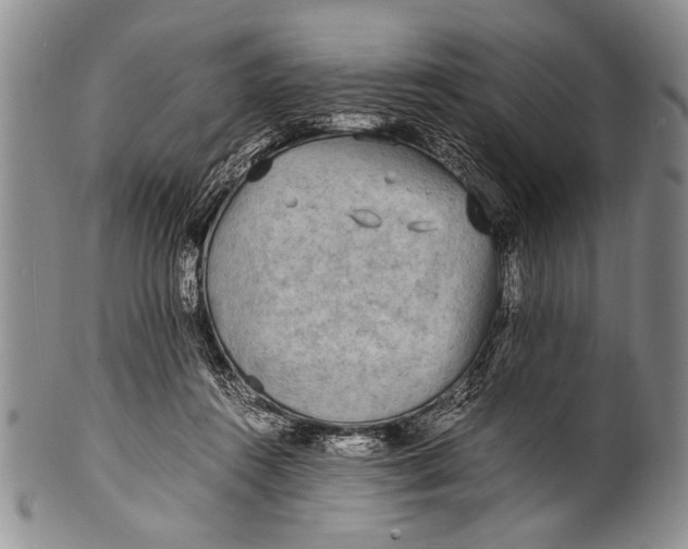 X0000100310360200806261208