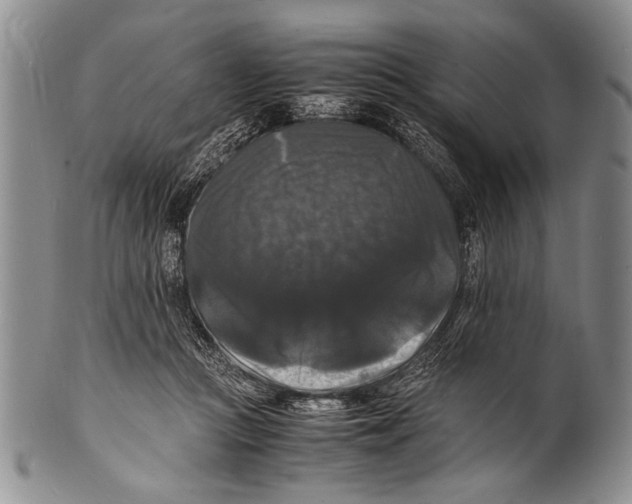 X0000100310361200806261208