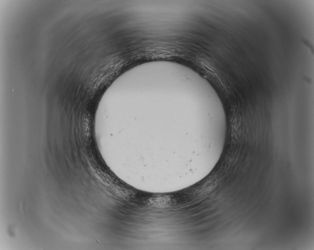 X0000100310362200806261208