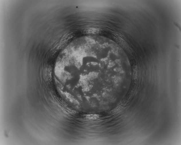 X0000100310363200806261208