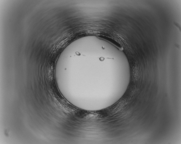 X0000100310364200806261208