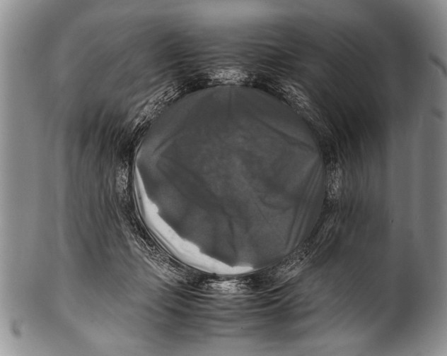 X0000100310365200806261208