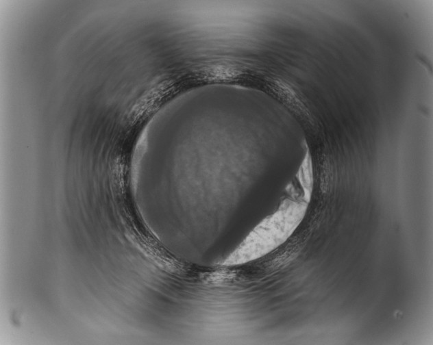 X0000100310366200806261208