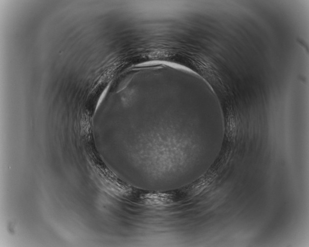 X0000100310367200806261208