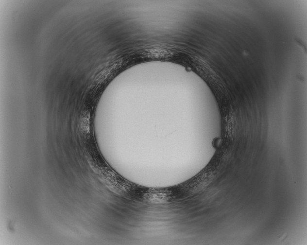 X0000100310368200806261208