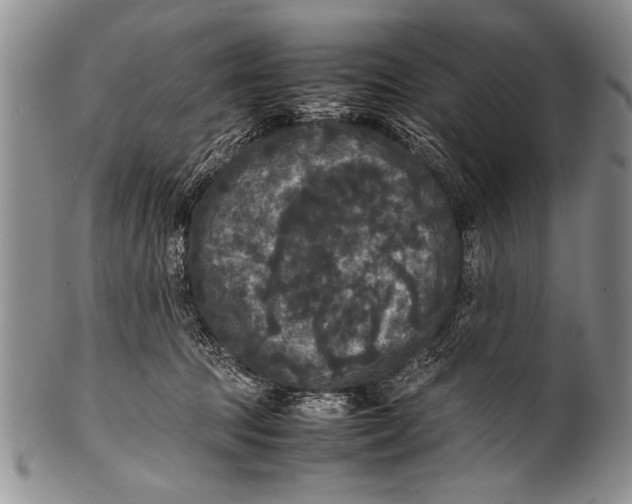 X0000100310369200806261208