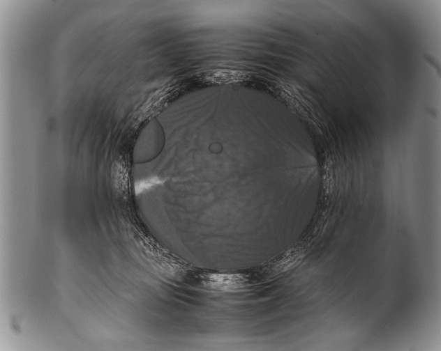 X0000100310371200806261208