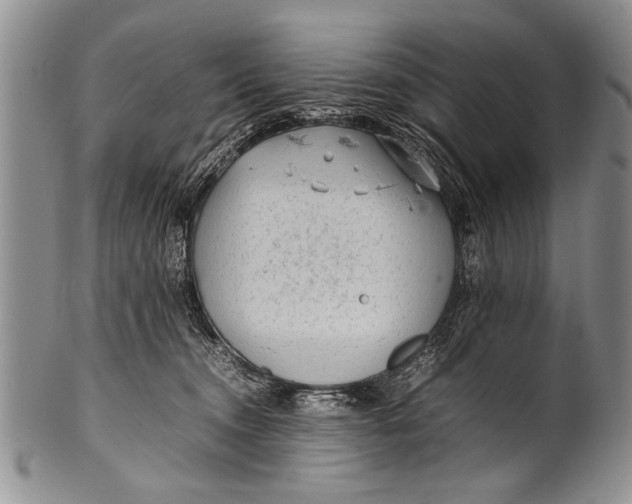 X0000100310372200806261208