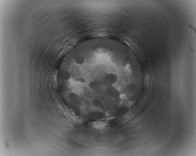 X0000100310373200806261208