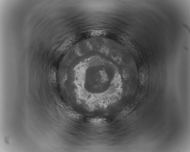 X0000100310375200806261208