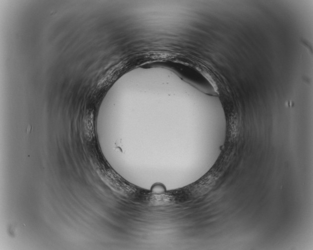 X0000100310376200806261208