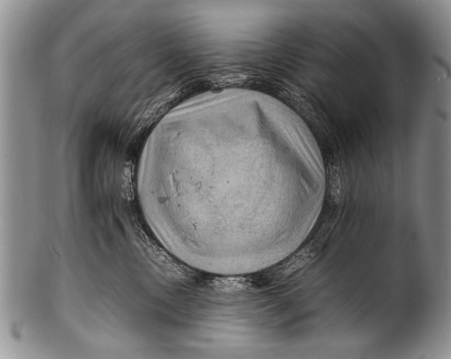 X0000100310378200806261208