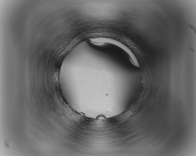 X0000100310382200806261208