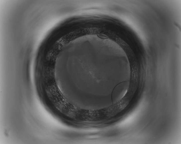 X0000100310383200806261208