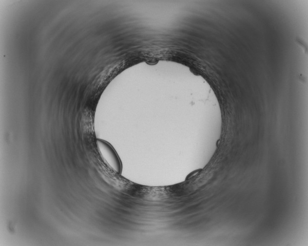 X0000100310384200806261208