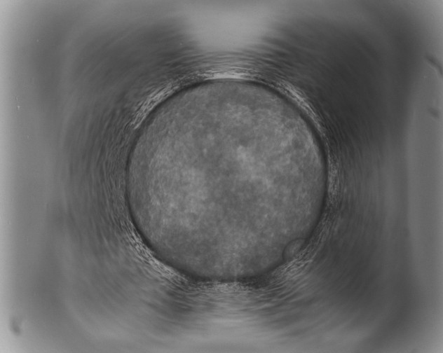 X0000100310385200806261207