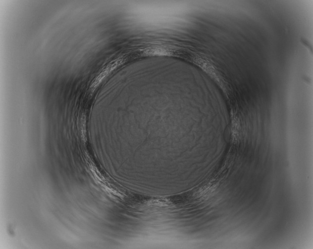 X0000100310386200806261207