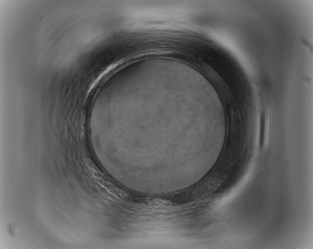 X0000100310387200806261207