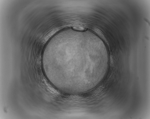 X0000100310389200806261207