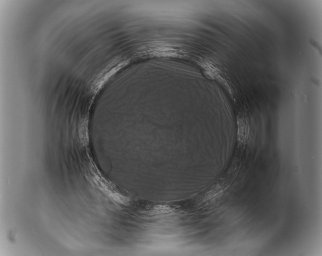 X0000100310390200806261207