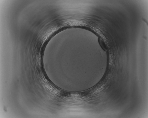 X0000100310391200806261207