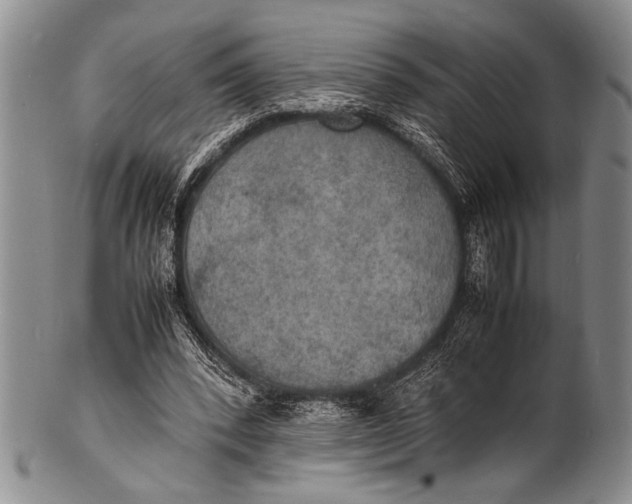 X0000100310392200806261207