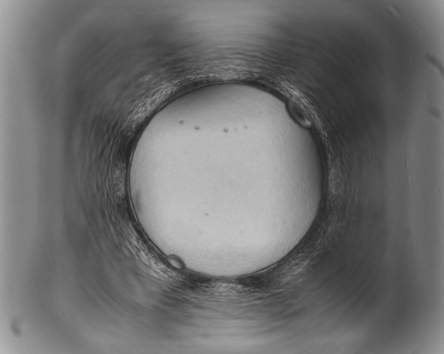 X0000100310393200806261207