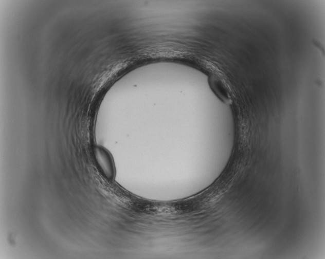 X0000100310395200806261207