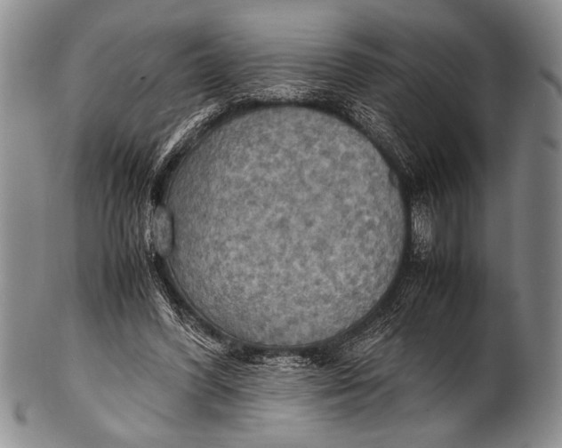 X0000100310396200806261207