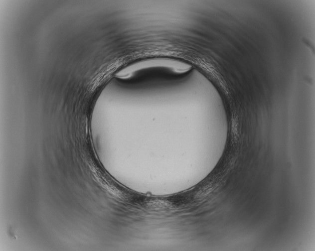 X0000100310397200806261207