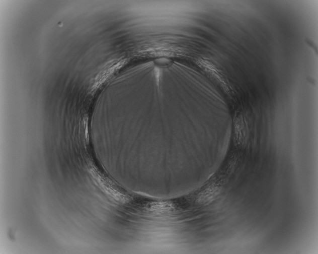 X0000100310398200806261207