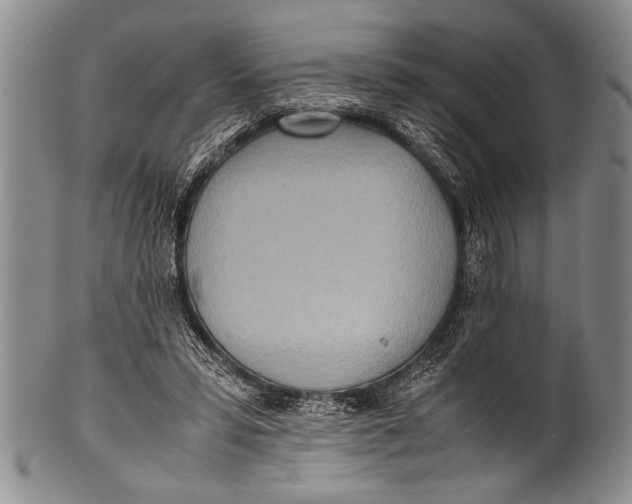 X0000100310399200806261207