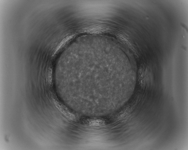 X0000100310400200806261207