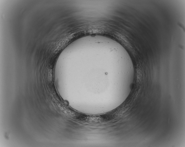 X0000100310401200806261207