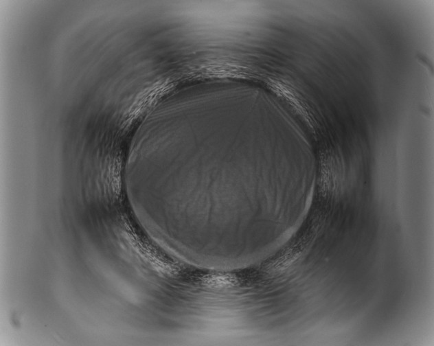 X0000100310402200806261207