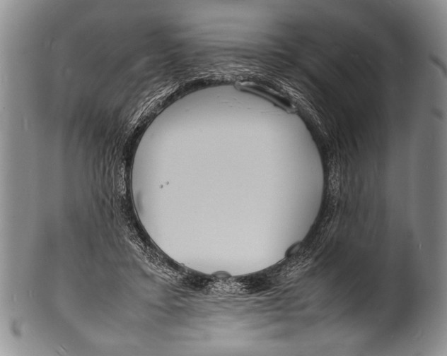 X0000100310403200806261207