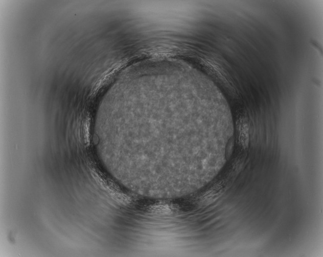 X0000100310404200806261207