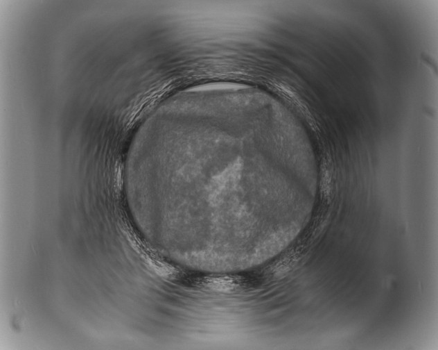 X0000100310405200806261207