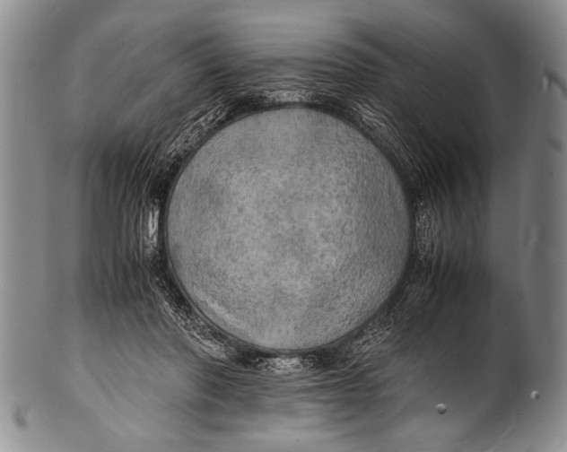 X0000100310406200806261207