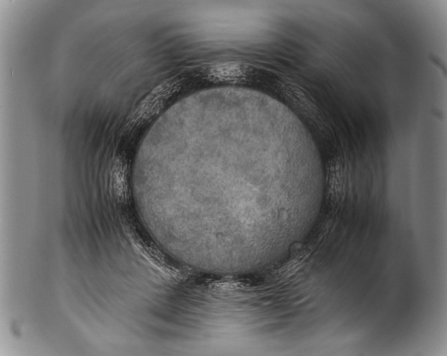 X0000100310408200806261207