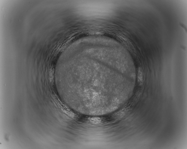 X0000100310409200806261207