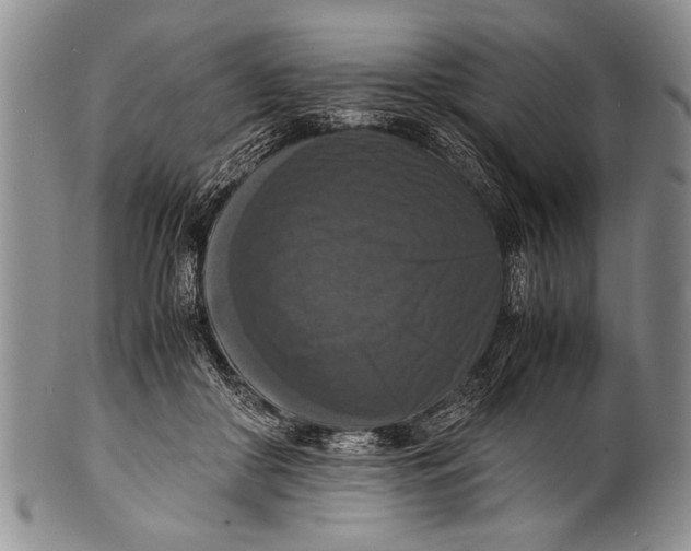 X0000100310410200806261207