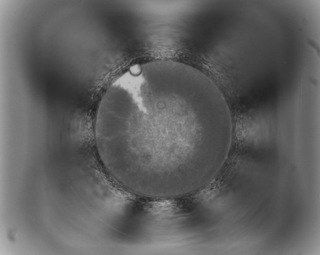 X0000100310411200806261207