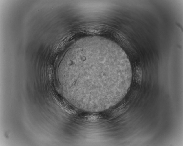 X0000100310412200806261207