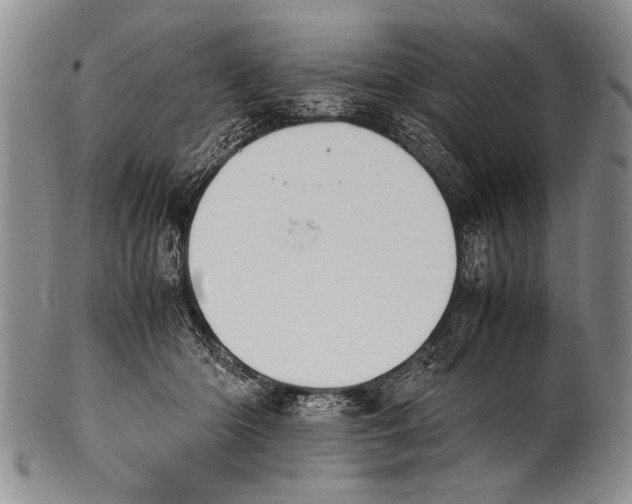 X0000100310414200806261207